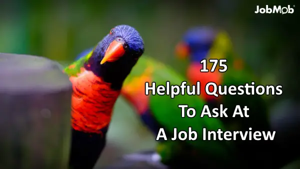 175 Helpful Questions To Ask At A Job Interview