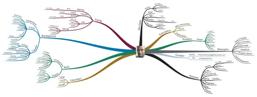 Foluso Aribisala cv mind map