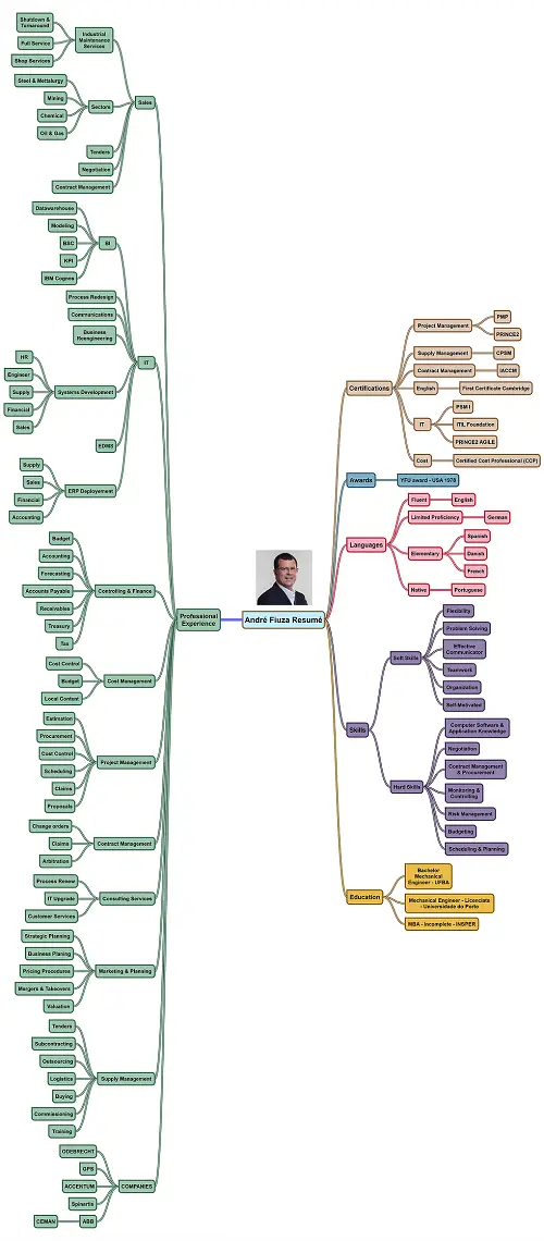 andre fiuza cv mindmap