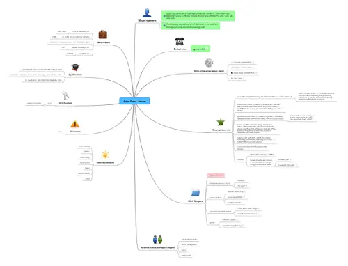 anton gurov cv mindmap