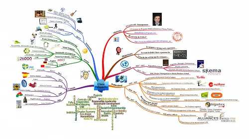 chris delepierre cv mindmap