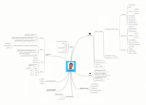 lars henrik dahl cv mindmap