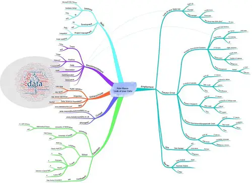 pete moore cv mindmap