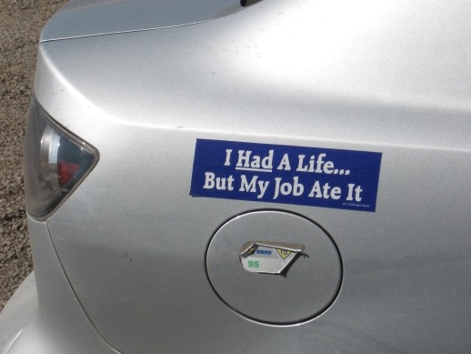 "Work Harder Welfare Depends" Funny Bumper Sticker - 8.75x2.5 Vinyl Decal