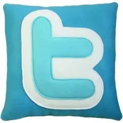 Twitter Pillow