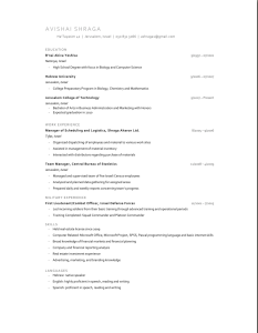 avishai shraga resume