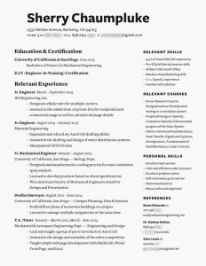 36 Beautiful Resume Ideas That Work