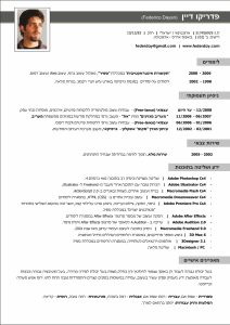 federico dayan resume