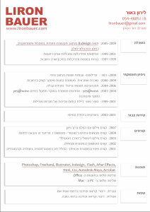 liron bauer resume