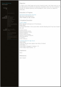 Steve McKinney beautiful resume
