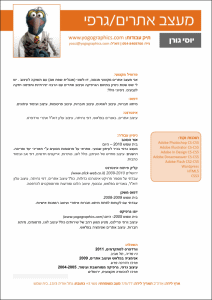 yossi gorin resume