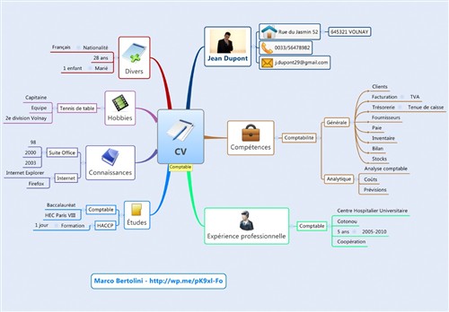 marco bertolini cv mindmap