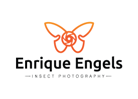 enrique engels monogram