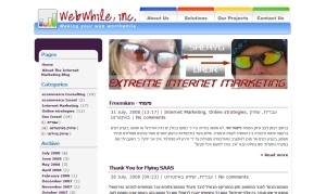 Extreme Internet Marketing
