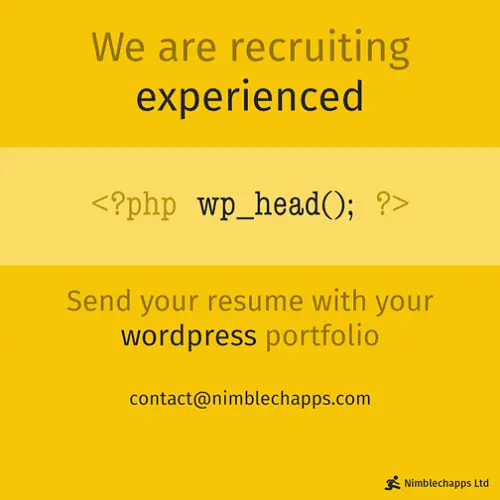 nimblechapps programmer 1 talent recruitment marketing