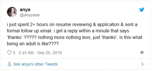 resume responses company feedback 2