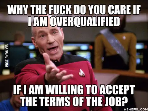 willing to accept the terms of job overqualified meme