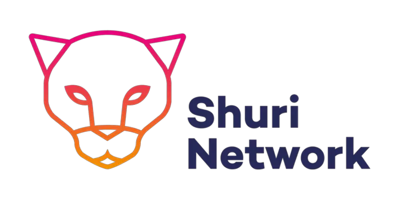 Shuri Winter Warmer: How to Succeed in Digital Job Applications