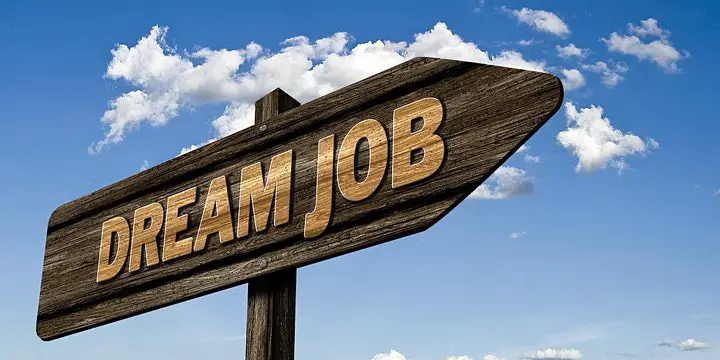 Dream Job Journey